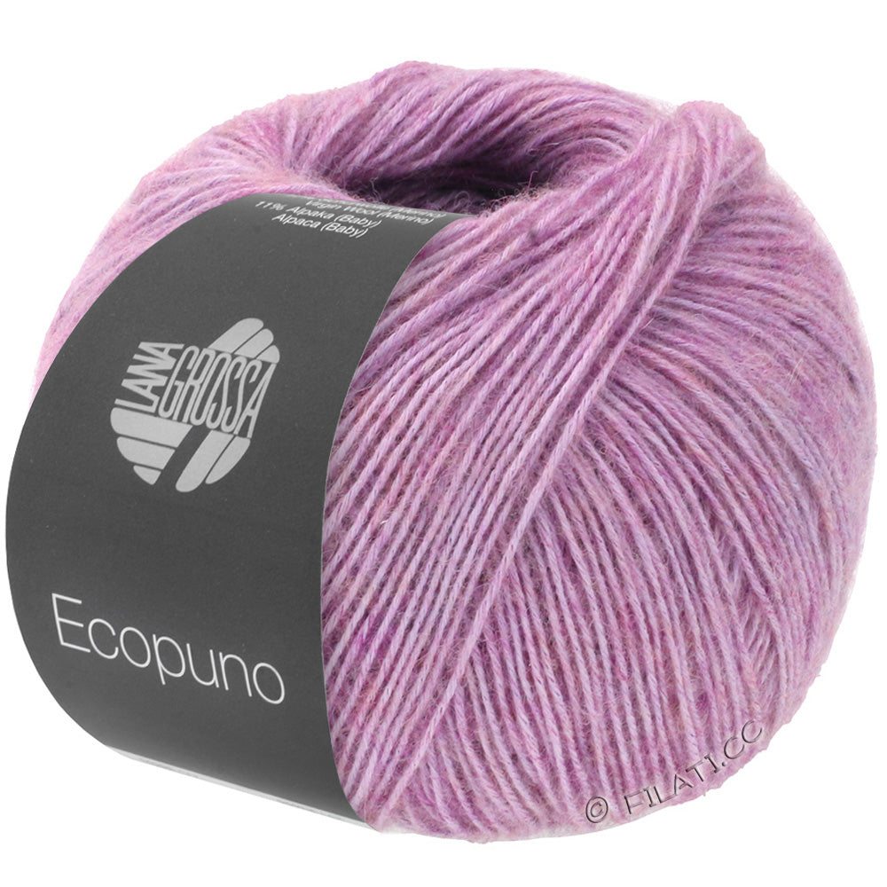 Ecopuno Shawl (Design 22) Kit