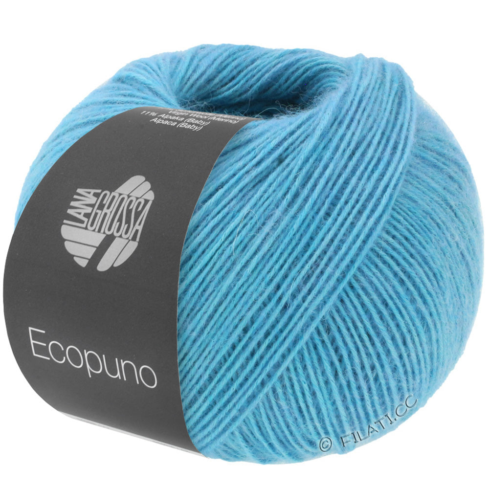 Ecopuno Shawl (Design 22) Kit