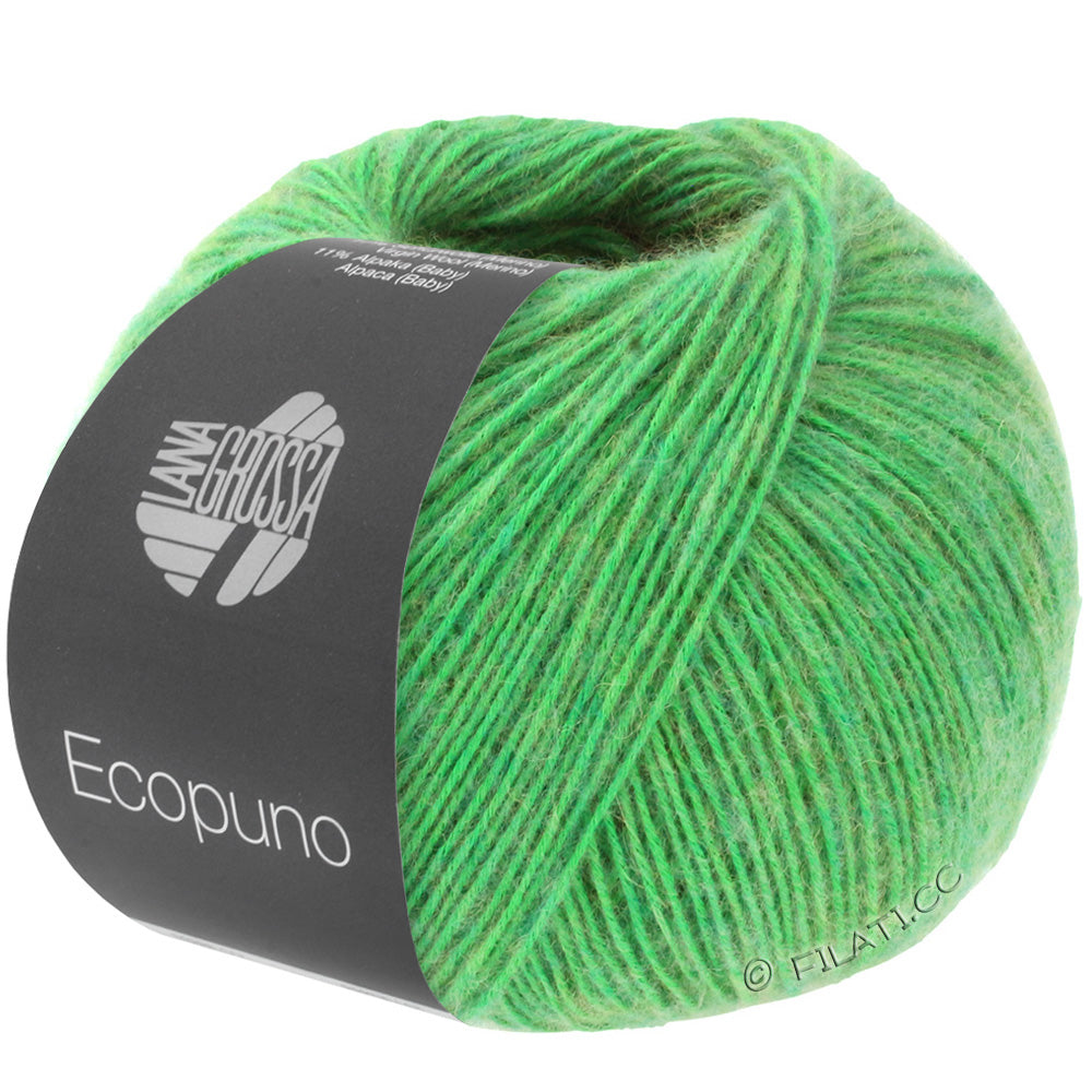 Ecopuno Shawl (Design 22) Kit