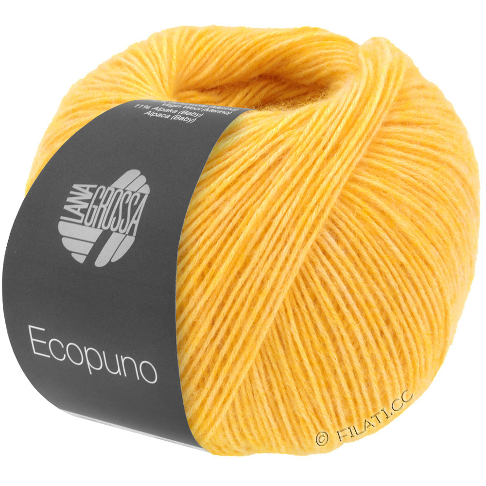 Ecopuno Shawl (Design 22) Kit