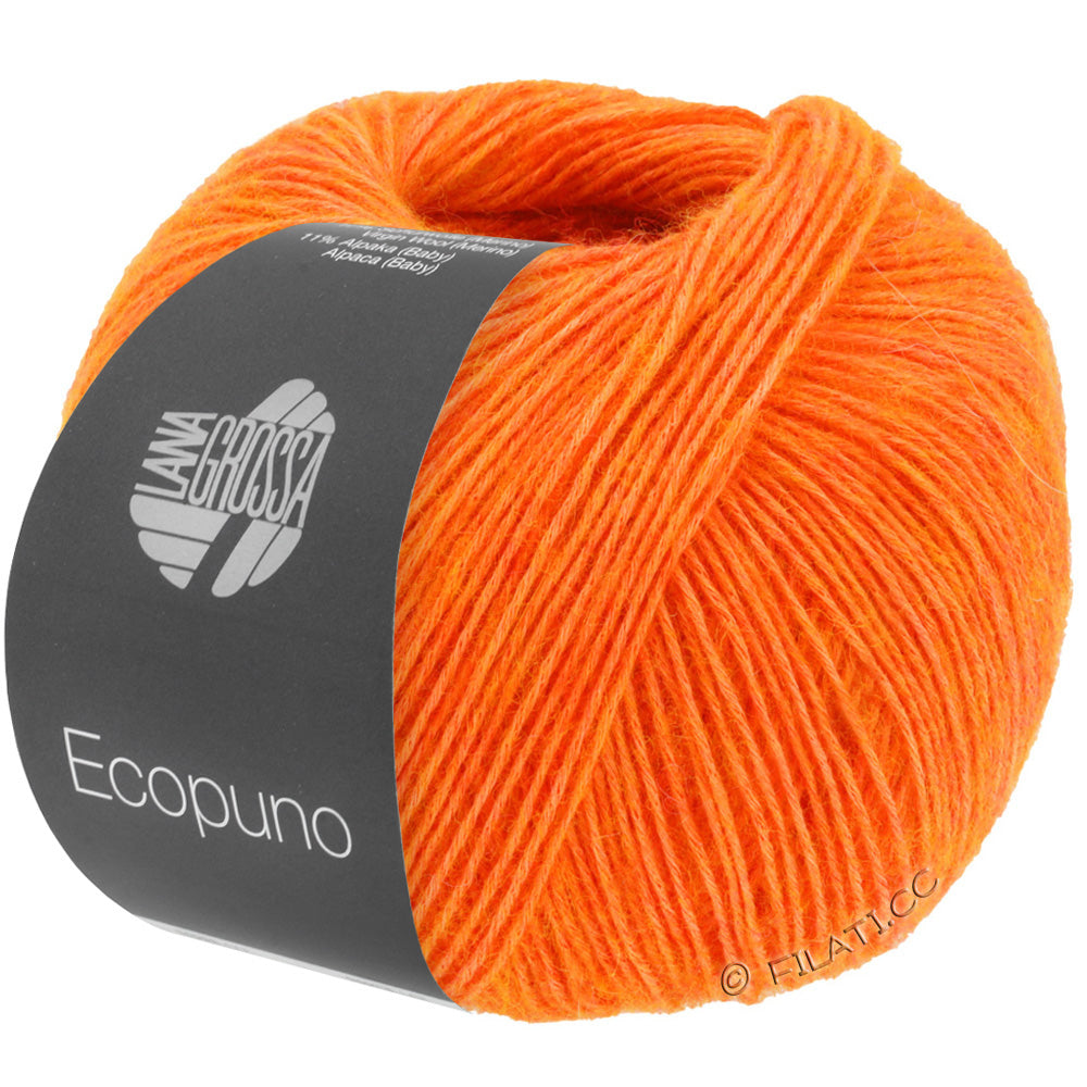 Ecopuno Shawl (Design 22) Kit