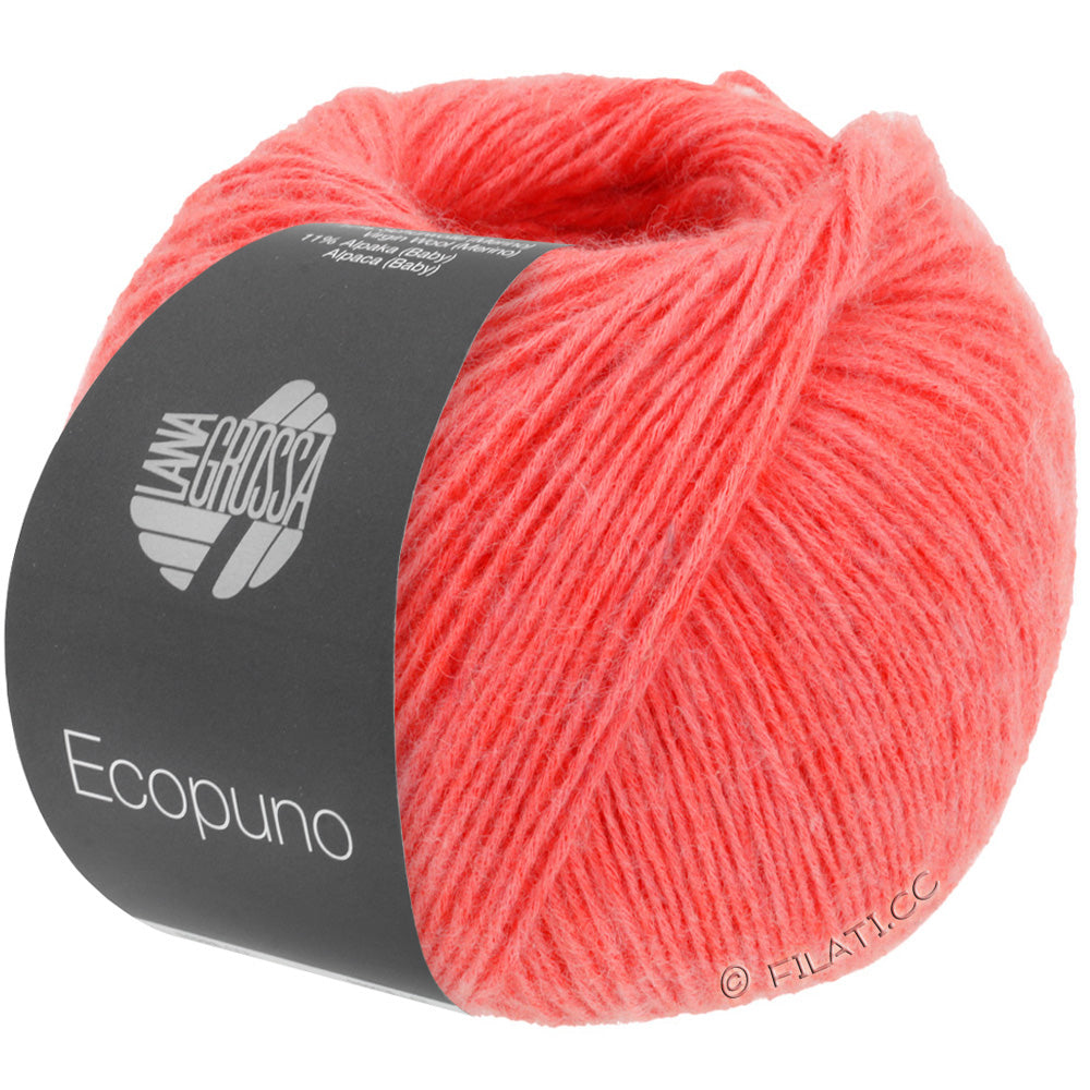 Ecopuno Shawl (Design 22) Kit