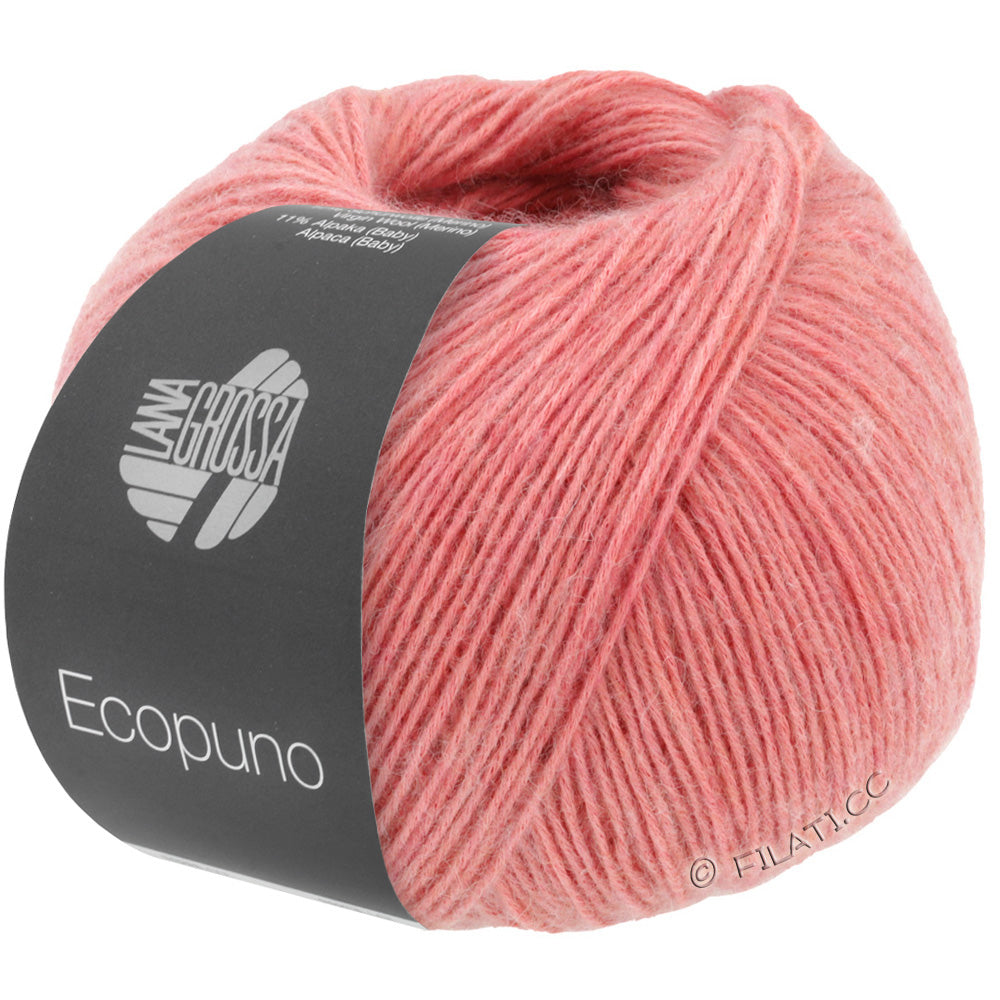 Ecopuno Shawl (Design 22) Kit