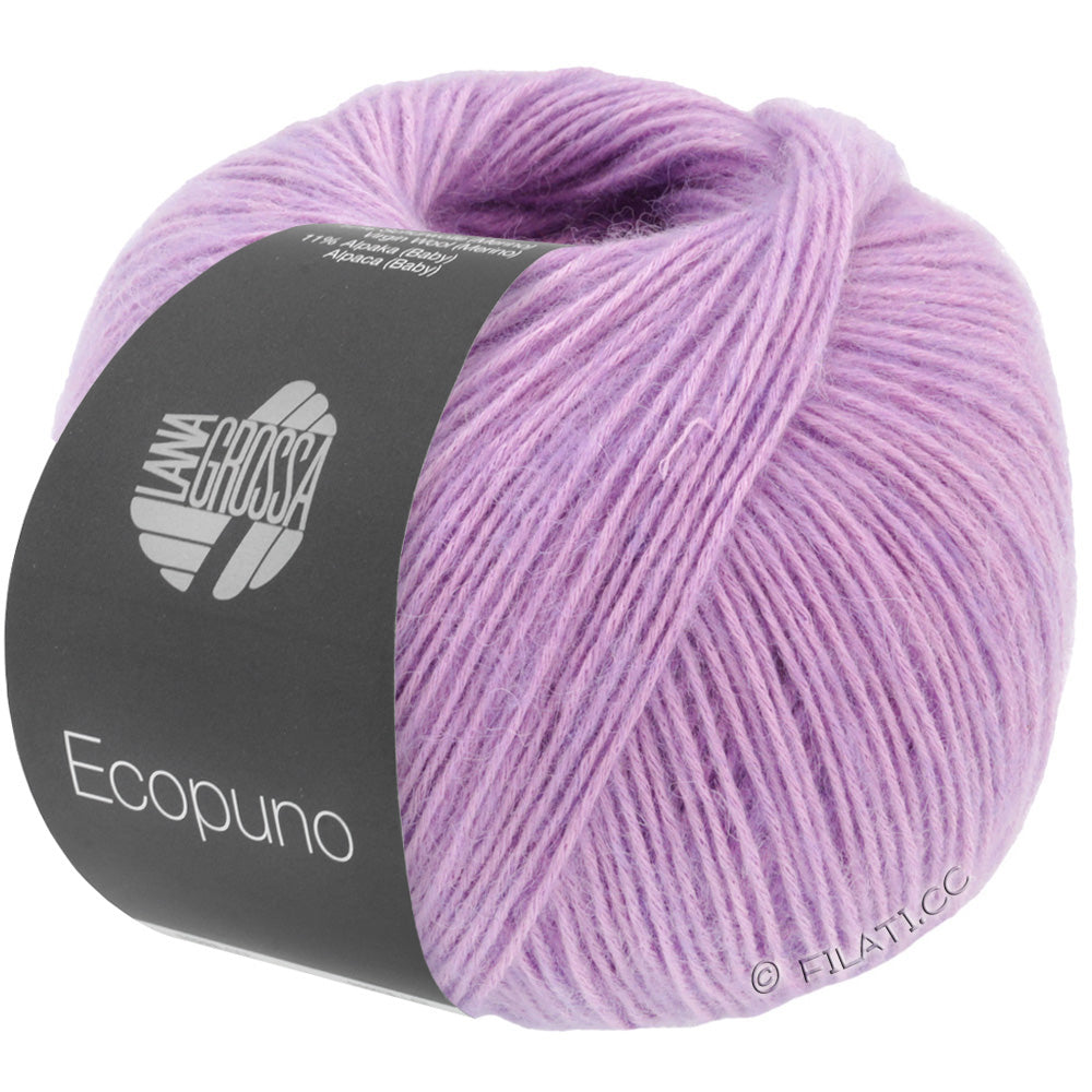 Ecopuno Shawl (Design 22) Kit