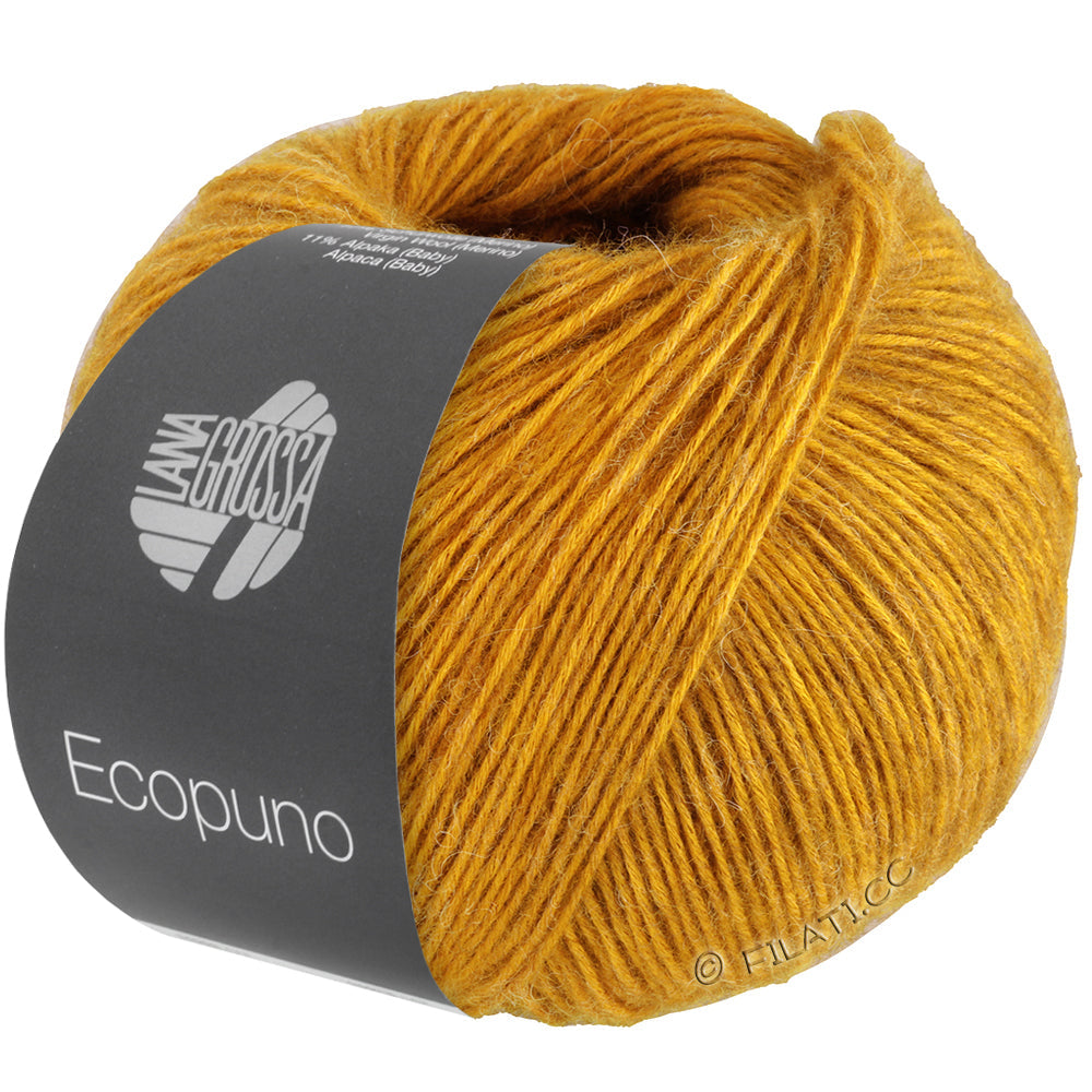 Ecopuno Shawl (Design 22) Kit