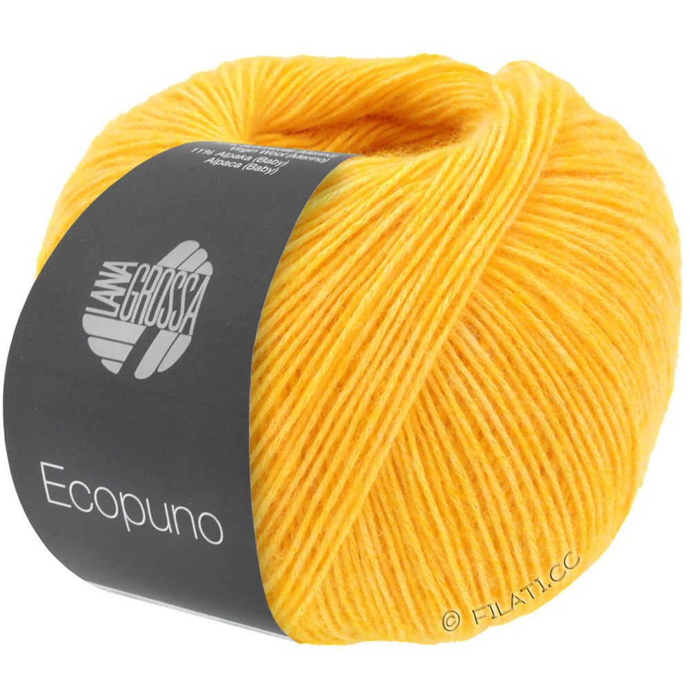 Ecopuno Shawl (Design 22) Kit