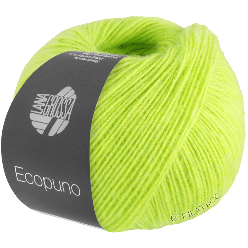 Ecopuno Shawl (Design 22) Kit