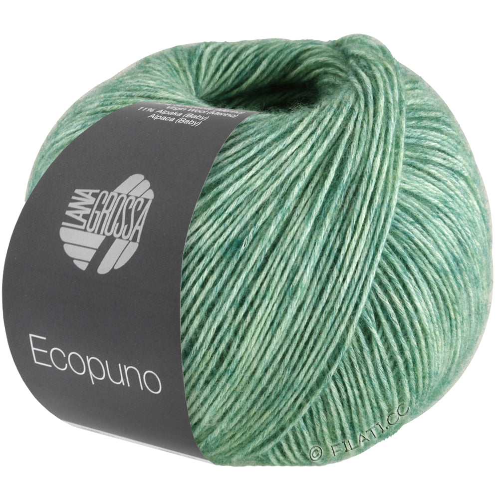 Ecopuno Shawl (Design 22) Kit