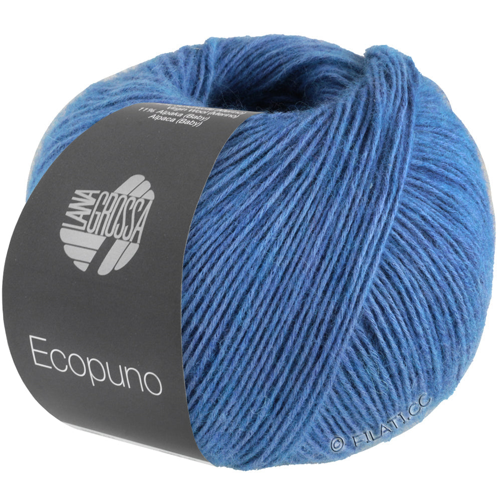 Ecopuno Shawl (Design 22) Kit