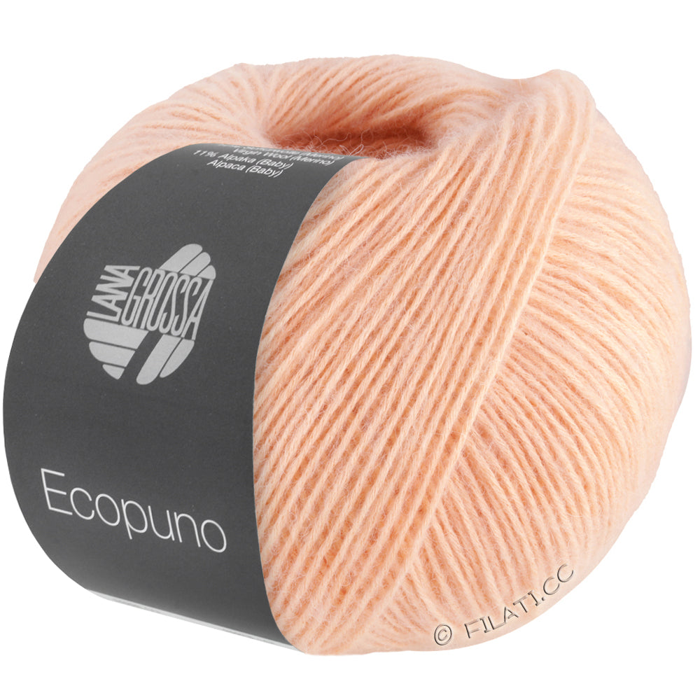 Ecopuno Shawl (Design 22) Kit