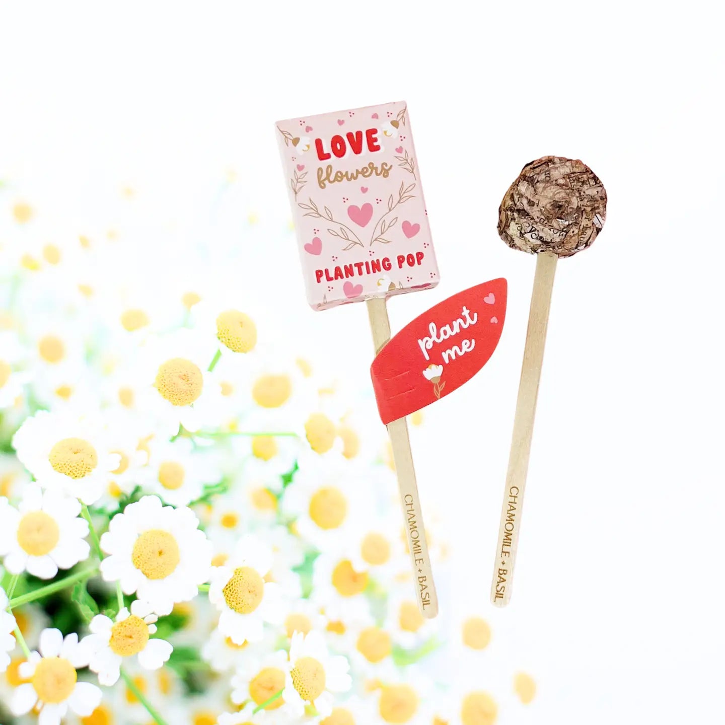 Sow the Magic Planting Pops