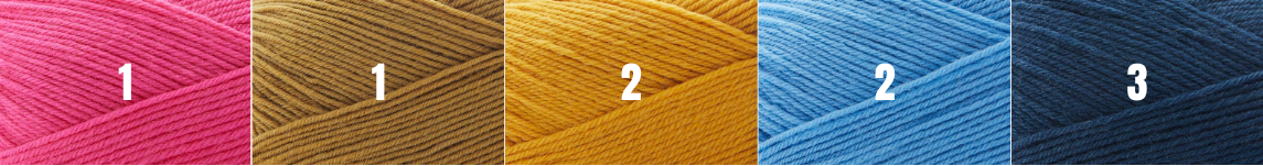 Aranami Shawl Kit