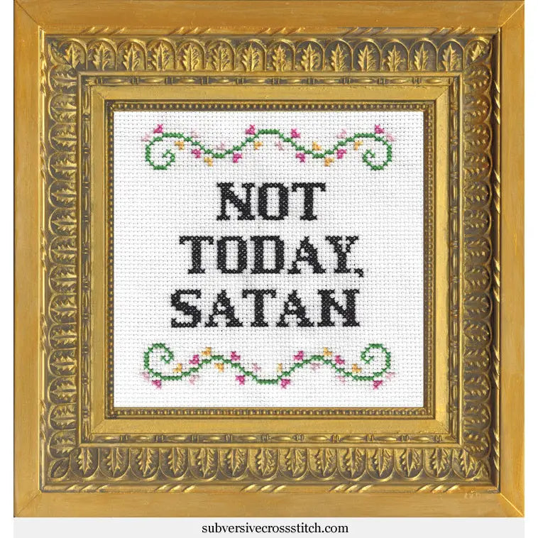 Subversive Cross Stitch Kits