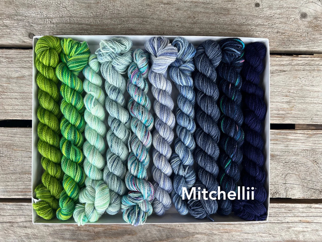 Koigu Pencil Box Kit