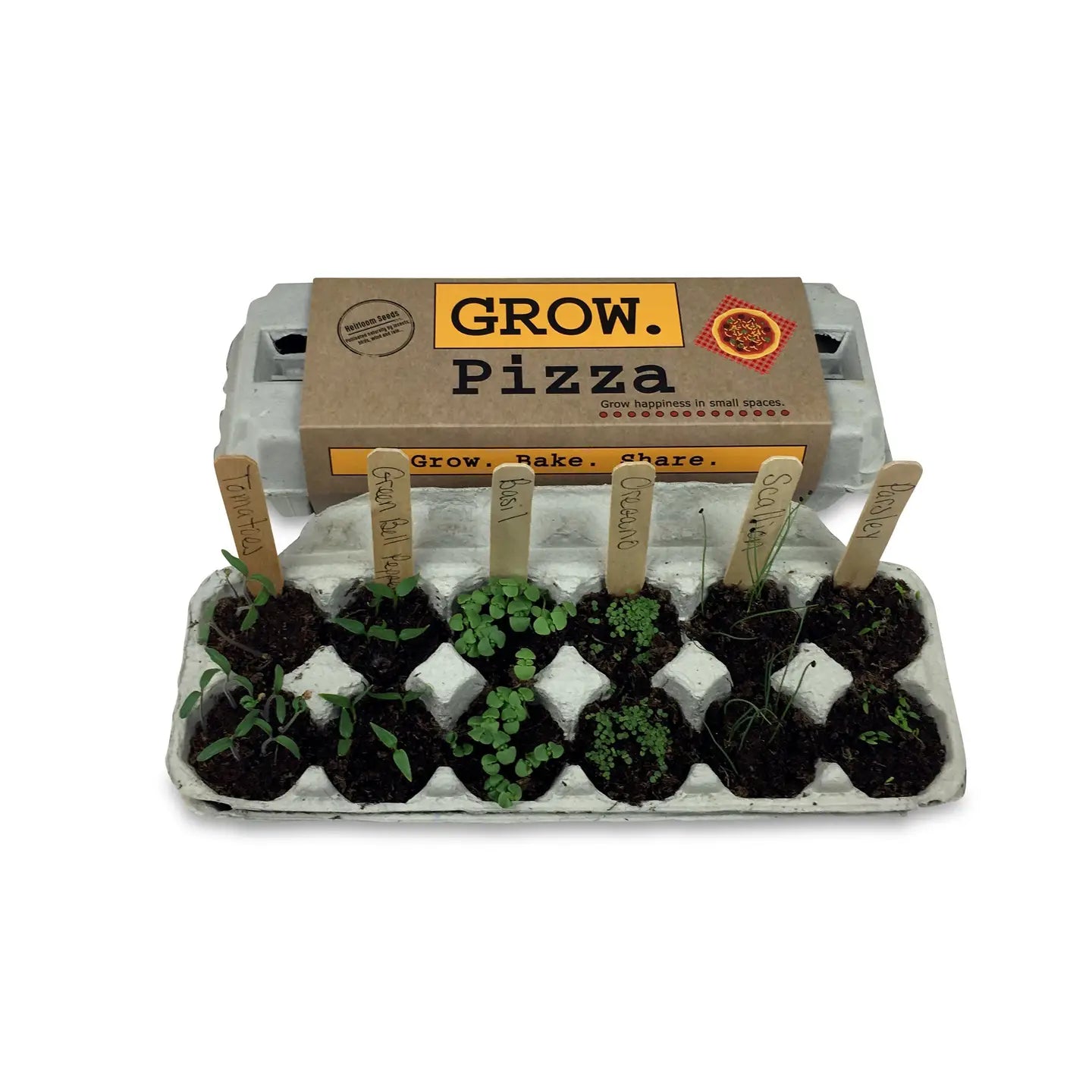 Backyard Safari Co. Grow Kits
