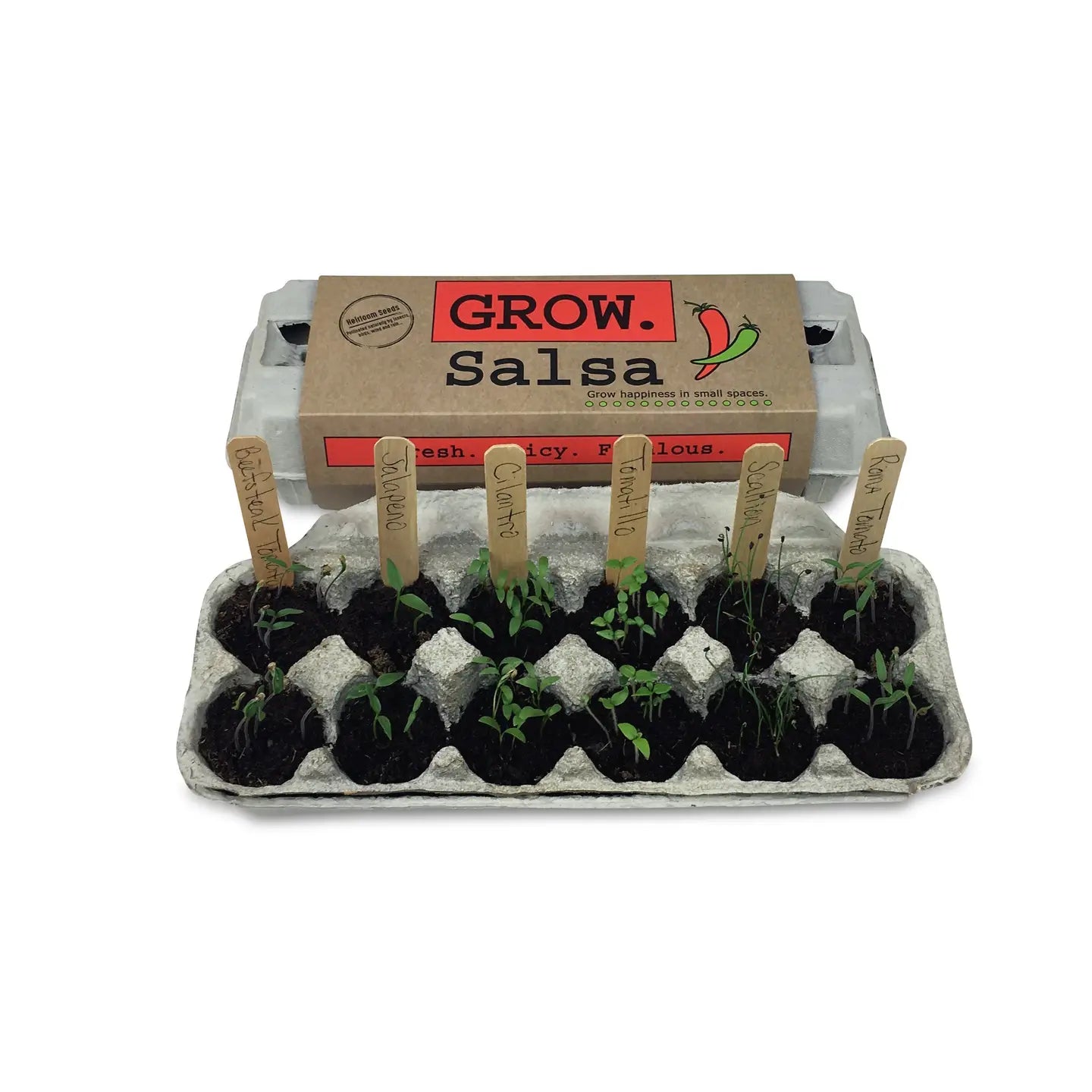 Backyard Safari Co. Grow Kits