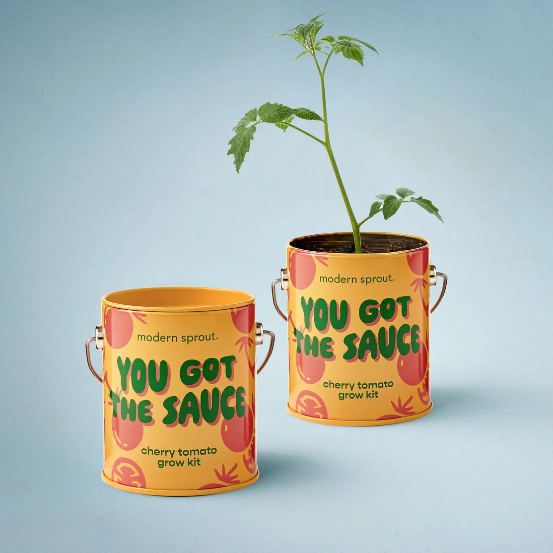 Modern Sprout Grow Kits