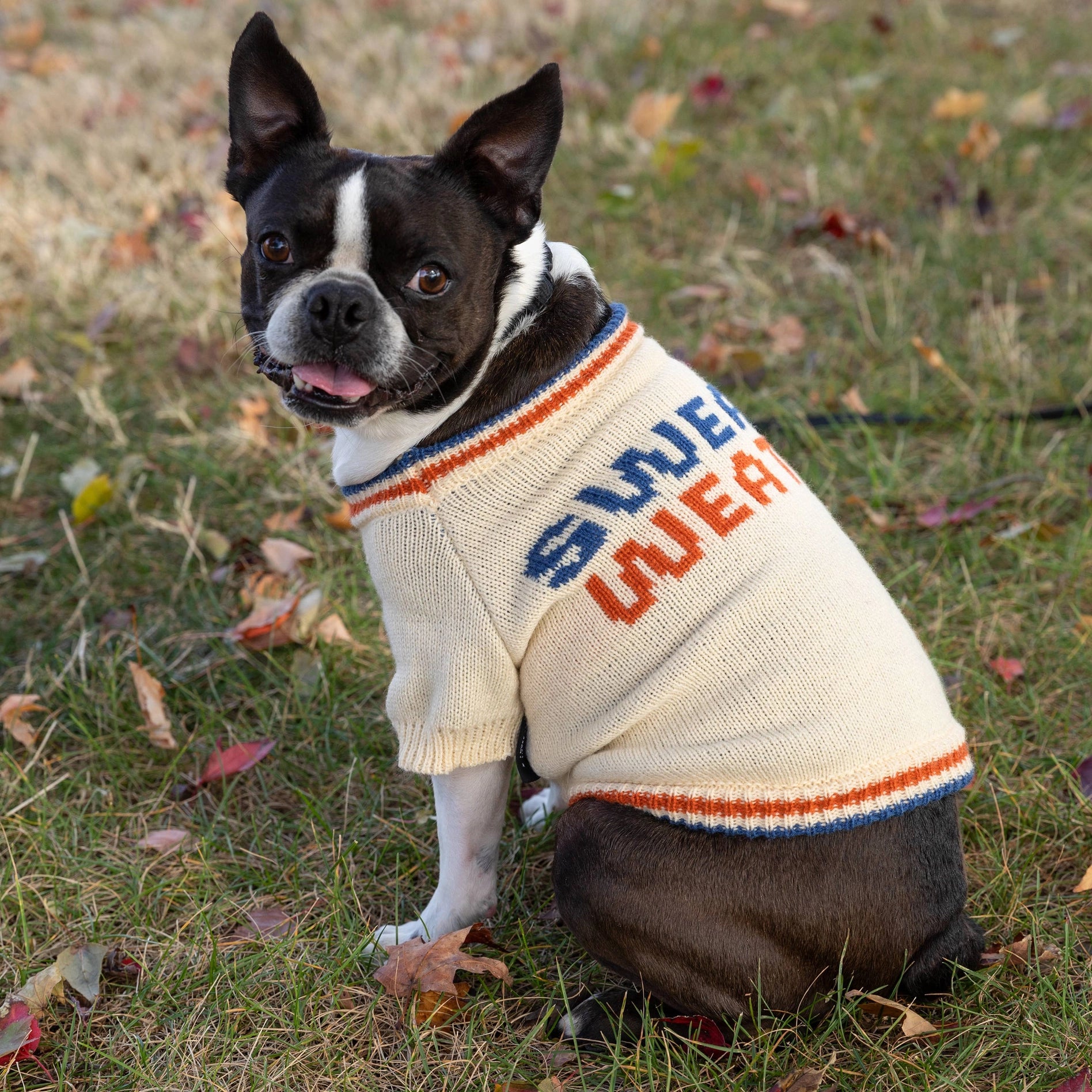 Brass Monkey Dog Sweaters