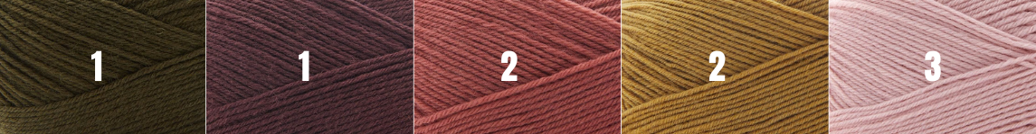 Aranami Shawl Kit