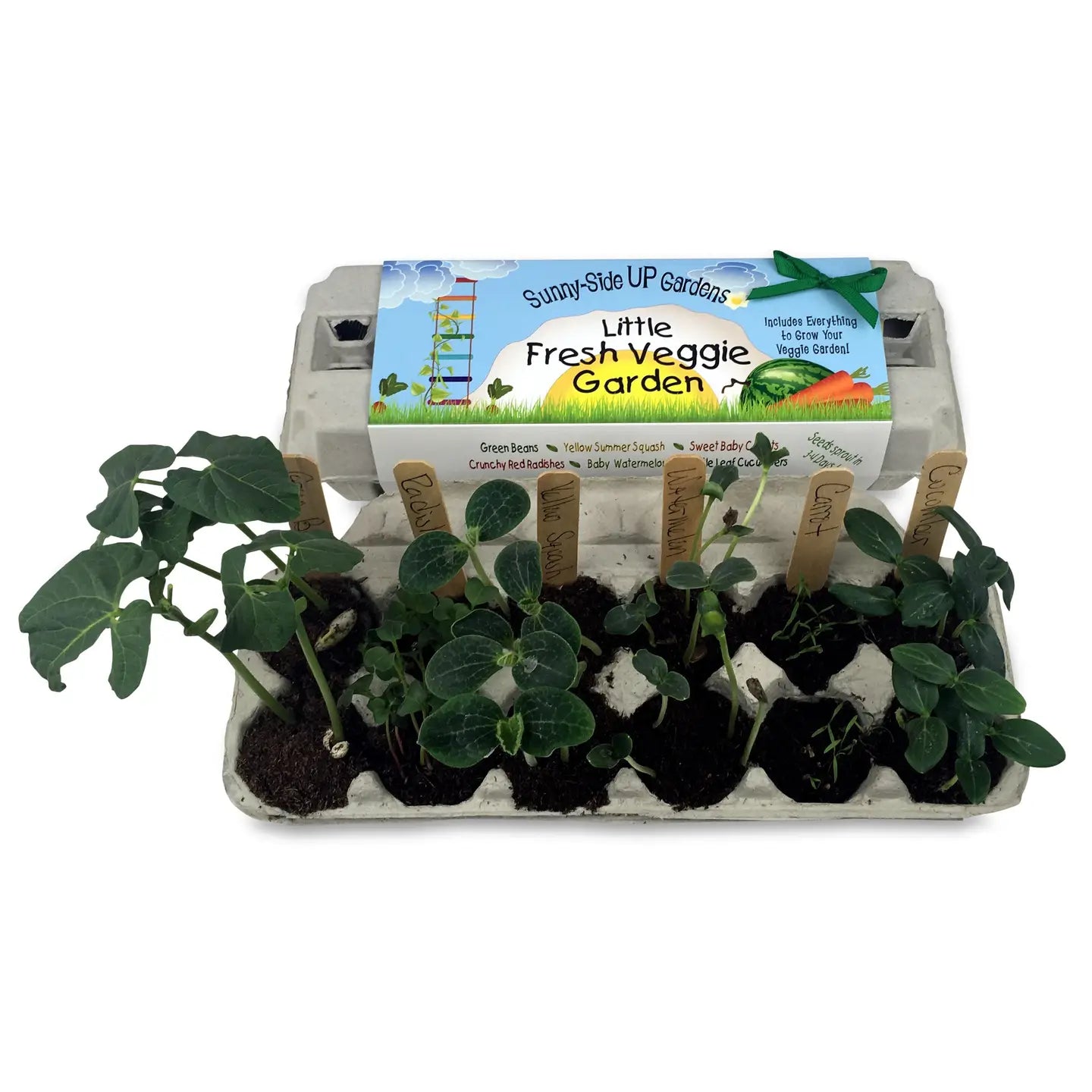 Backyard Safari Co. Grow Kits