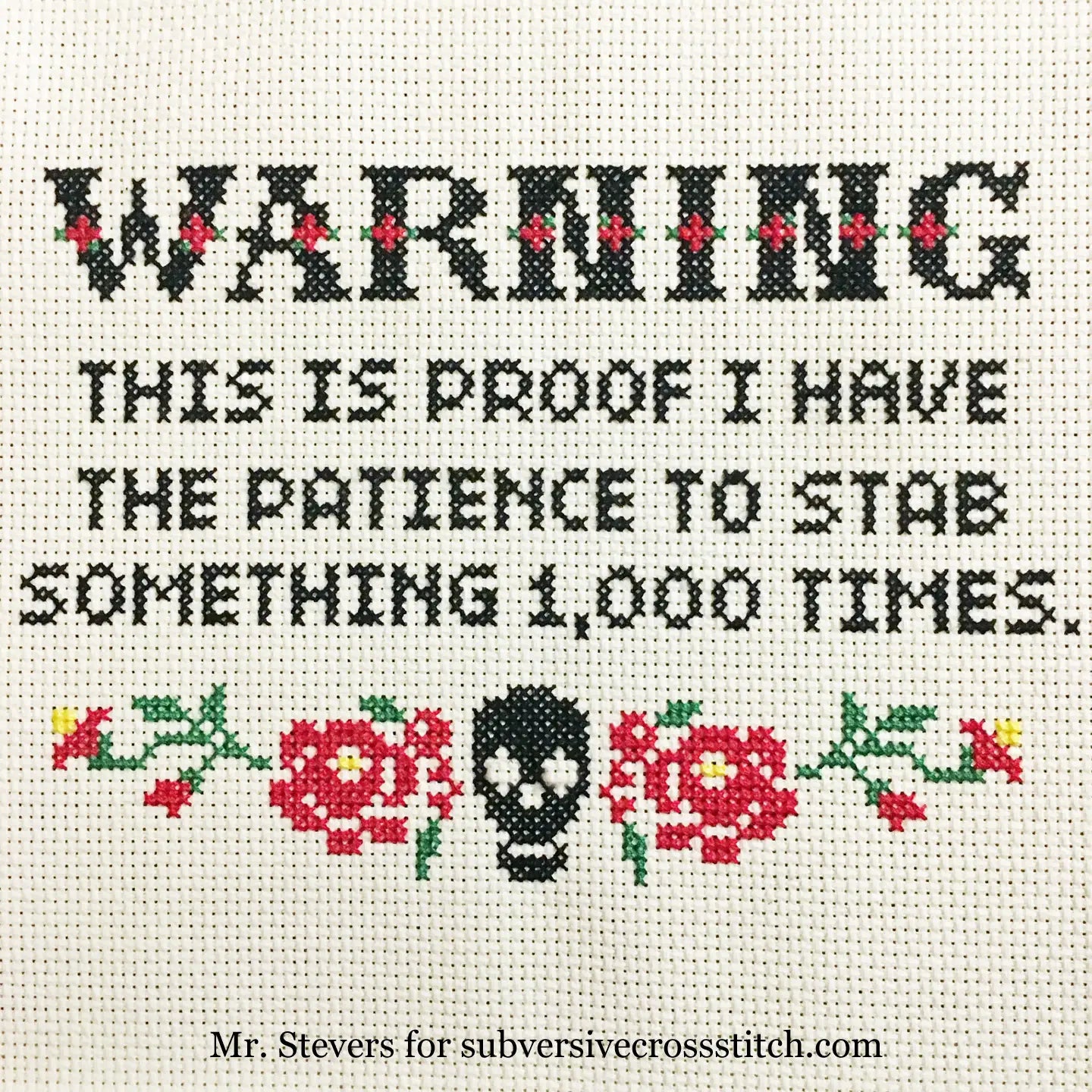Subversive Cross Stitch Kits