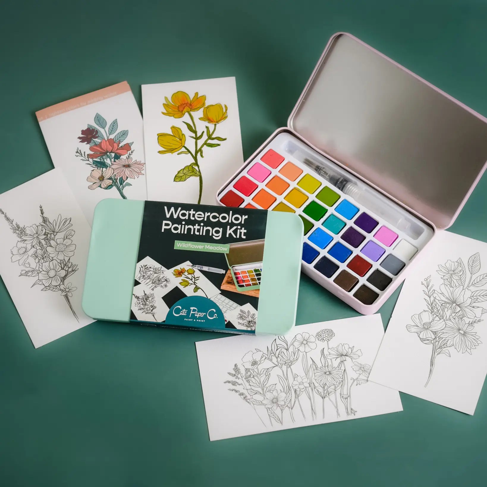 Cate Paper Watercolor Painting Kits (Intermediate)
