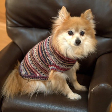 Dog Sweater PDF 3022