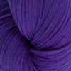 5625 Purple Hyacinth