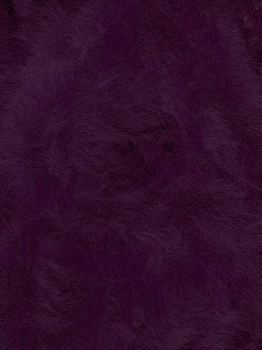 19 Purple Finch+